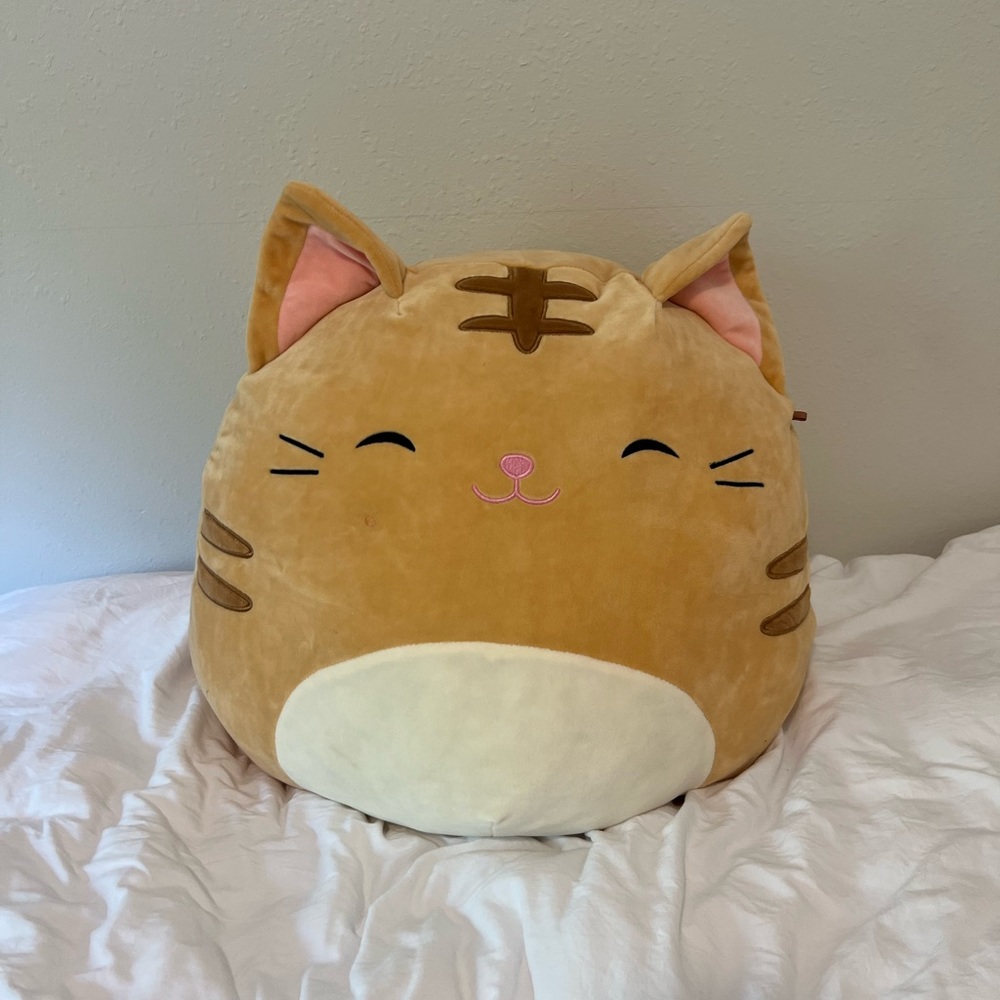 16” Nathan squishmallow